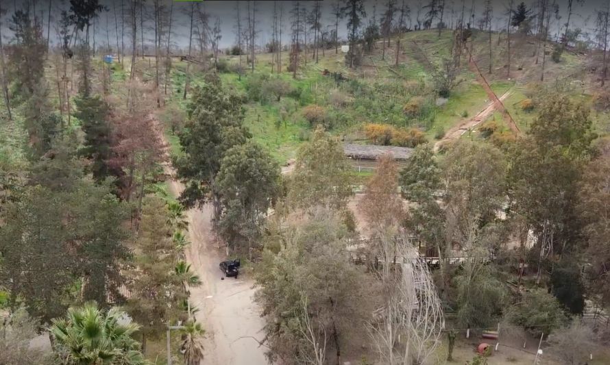 Esta es una imagen de dron del parque San Pedro en la comuna de María Pinto, se puede observar el bosque Miyawaki con árboles de entre uno y quince metros aproximadamente