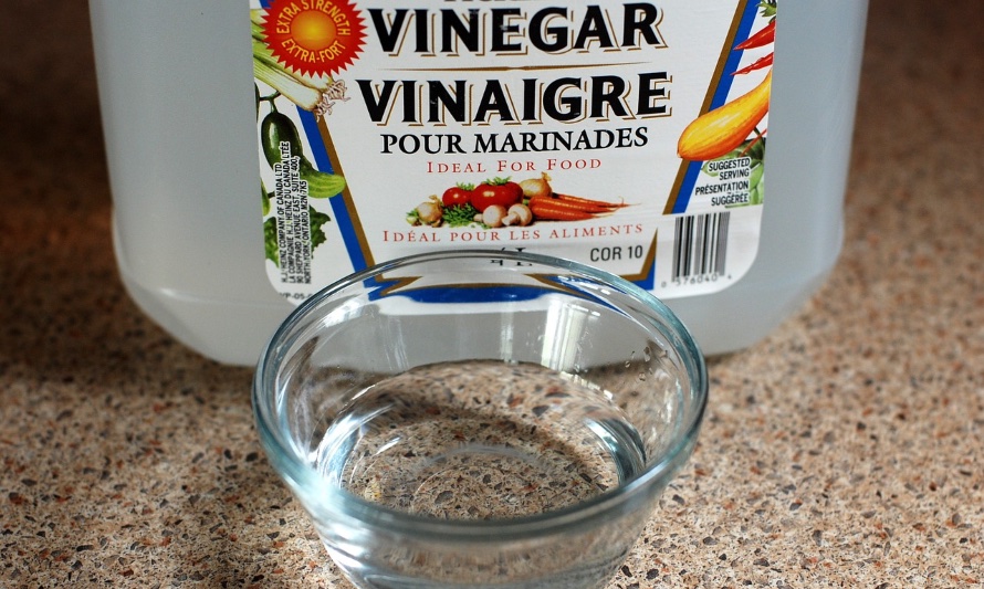 En esta fotografía se puede apreciar una botella de vinagre blanco de alcohol, uno de los ingredientes necesarios para crear este limpiador cítrico ecológico